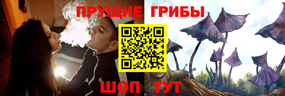 Красноармейск  Галлюциногенные грибы Magic Shrooms  Вход с VPN  Псилоцибиновые грибы MAGIC MUSHROOMS 